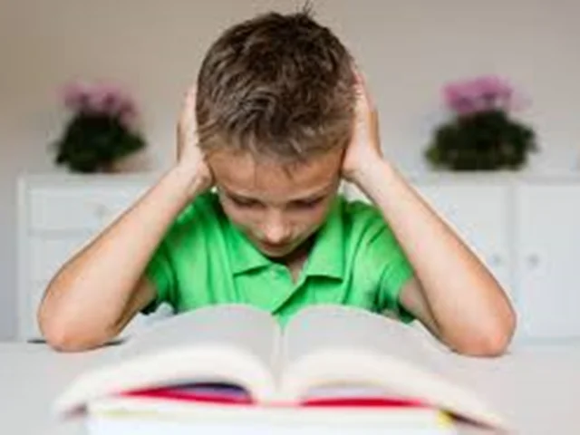 کودکانی که دارای اختلال یادگیری هستند چه ویژگی هایی دارند؟