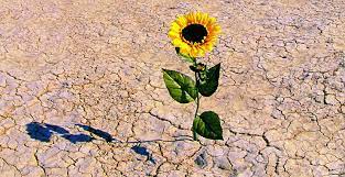 کدام نگرانی مفید و کدام یک غیر مفید است؟