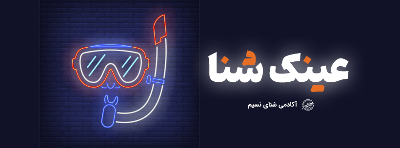 معرفی و مقایسه تخصصی 12 لوازم مورد نیاز شنا برای بانوان و کودکان