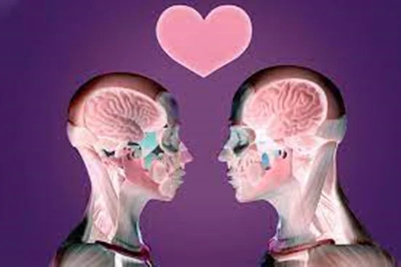 ازدواج موفق چه نشانه هایی دارد؟