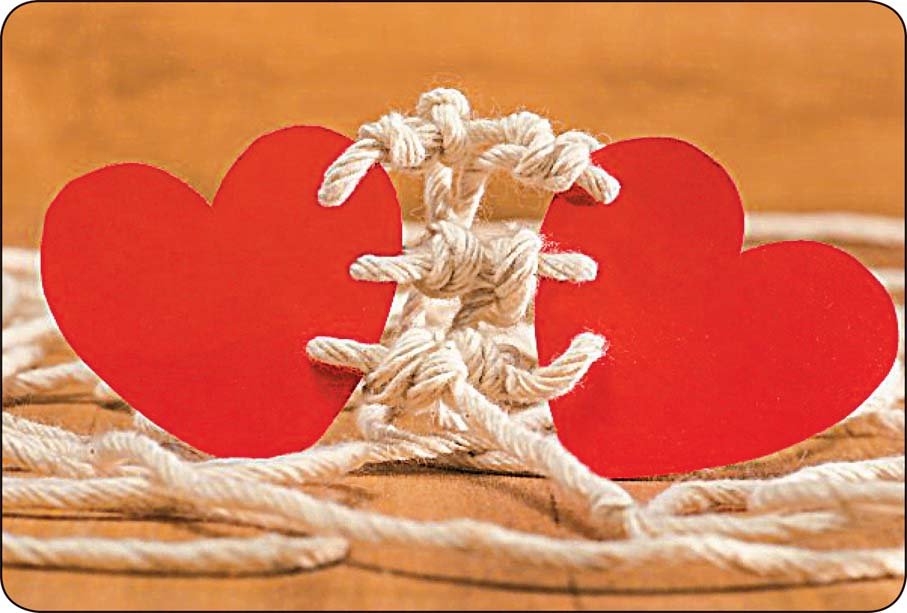 مشاوره تنظیم خانواده و روابط زناشویی با بهترین دکتر روانشناس در مرکز مشاوره انتخاب نو