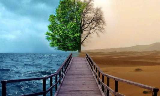 مرکز مشاوره و خدمات تخصصی روانشناسی