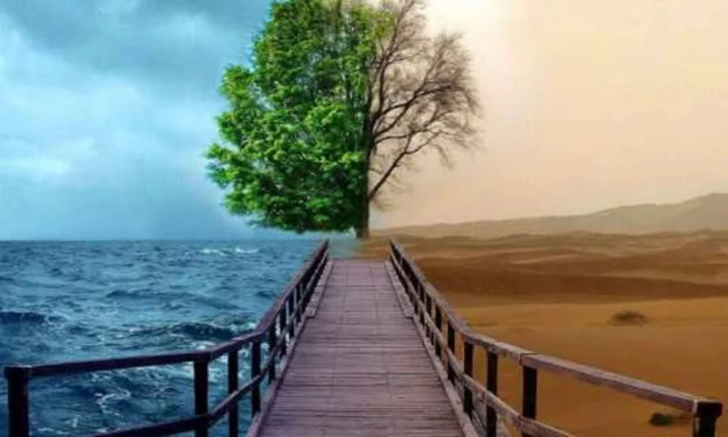 مرکز مشاوره و خدمات تخصصی روانشناسی