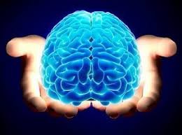 مرکز بیوفیدبک و نوروفیدبک