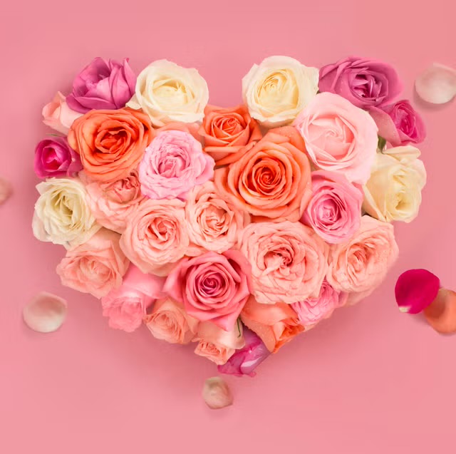 انتظار داشتن از شریک عاطفی ممنوع است