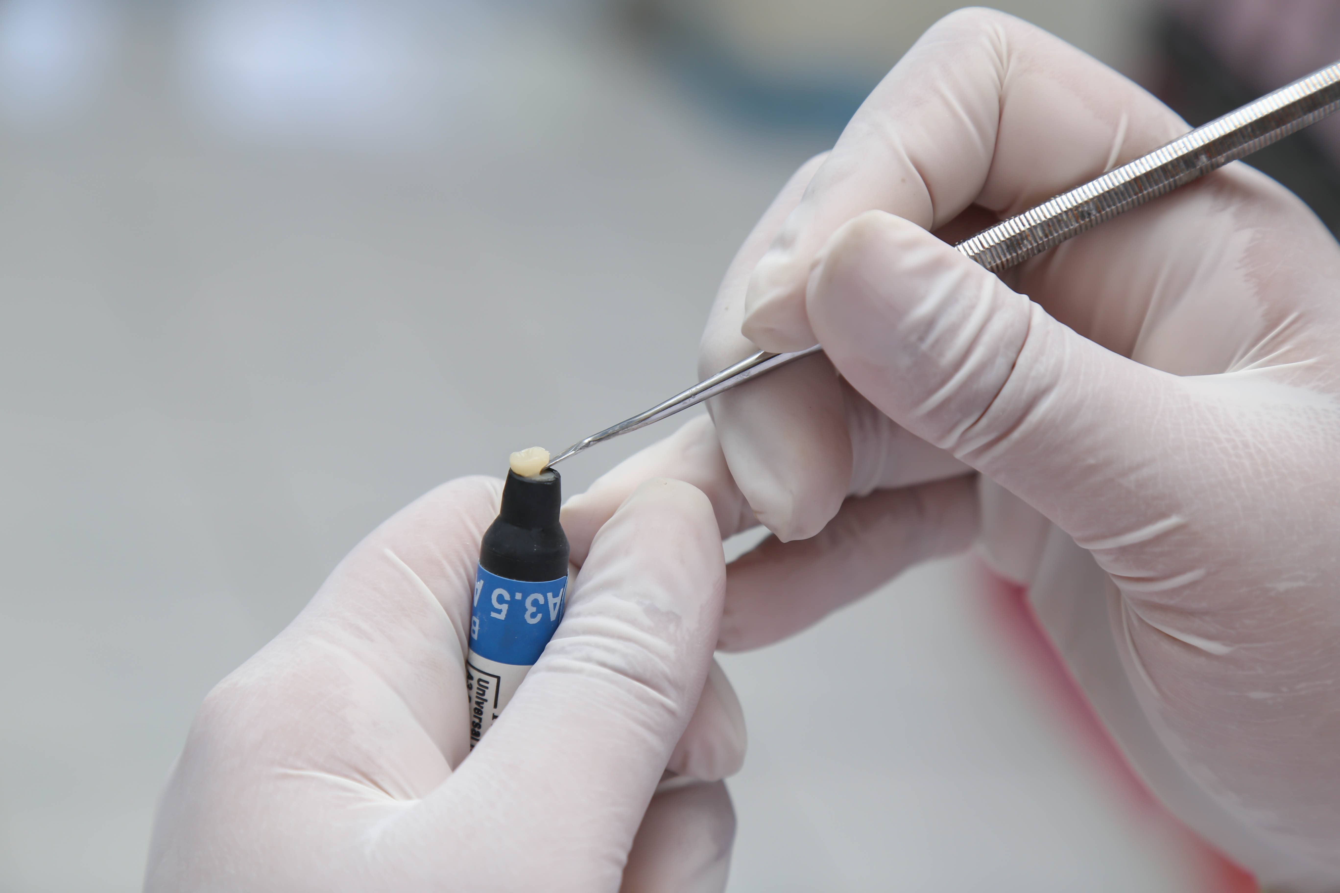 معرفی 6 کامپوزیت های آلمانی محبوب