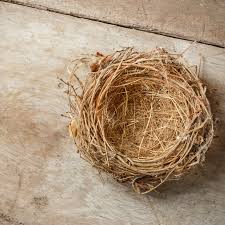 سندروم آشیانه خالی؛ وقتی همه فرزندان خانه را ترک می‌کنند