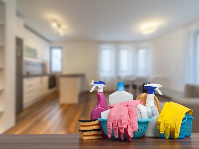 برای نظافت منزل از کجا شروع کنیم؟