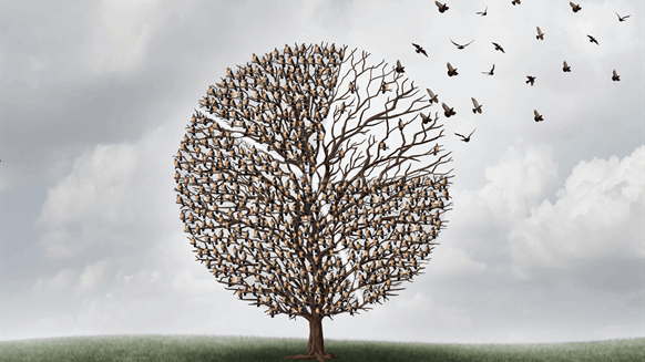 مرکز مشاوره برای درمان افسردگی چه خدماتی ارائه می دهد؟