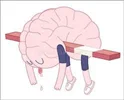 خستگی روانیِ هر روز؛ چرا حتی استراحت هم کمک نمی‌کند؟